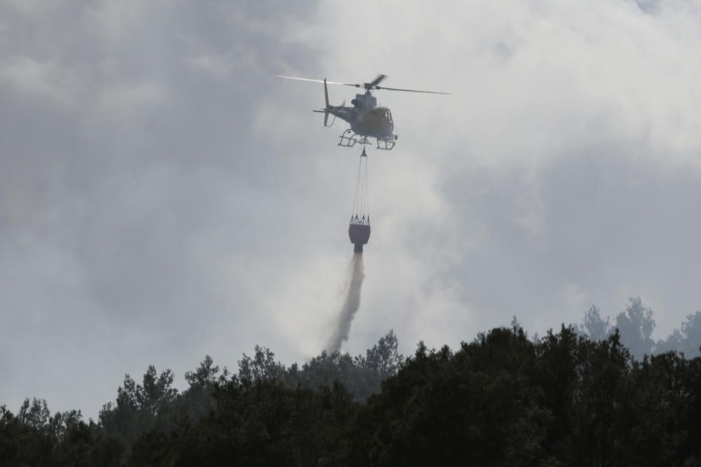 Incendio forestal en Sant Antoni