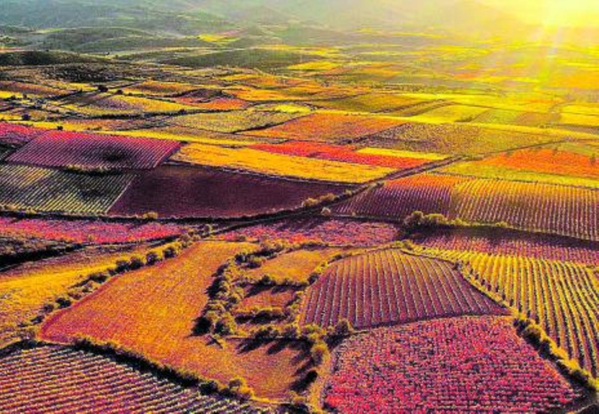 La Ruta del Vino retomó en noviembre su presencia en distintas ferias. | SERVICIO ESPECIAL
