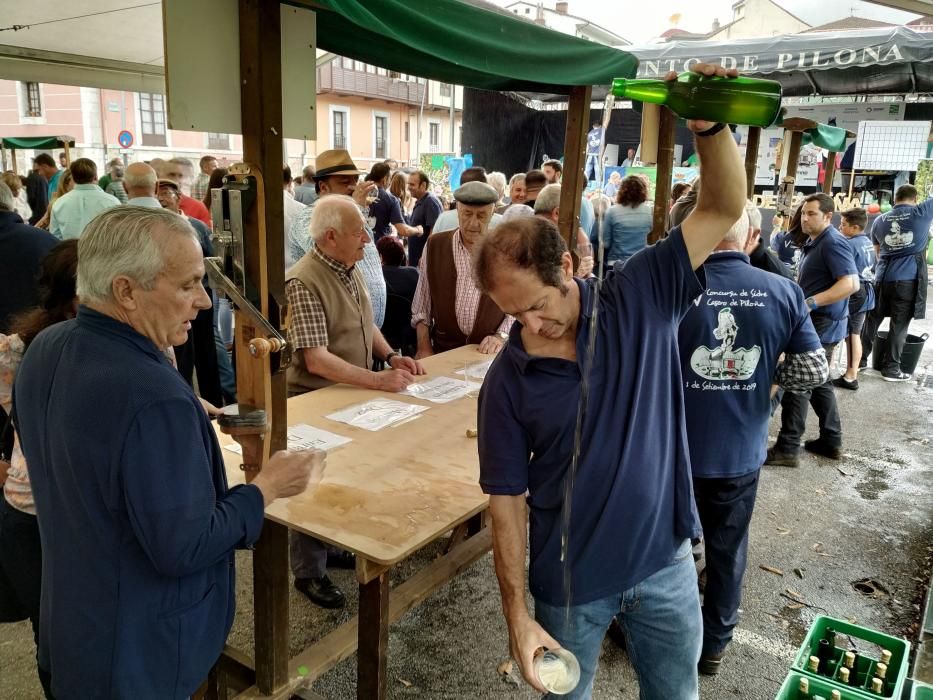 Concurso de sidra casera en Piloña