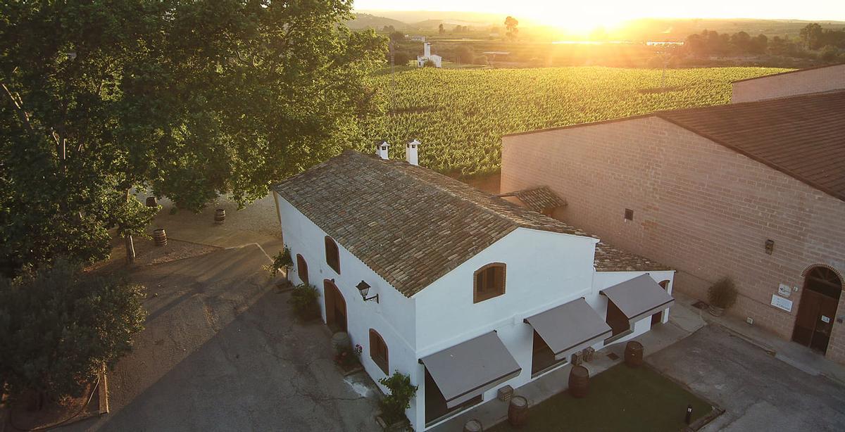 Bodegas Enguera fue fundada a finales del pasado siglo XX por Pedro Pérez Pardo.