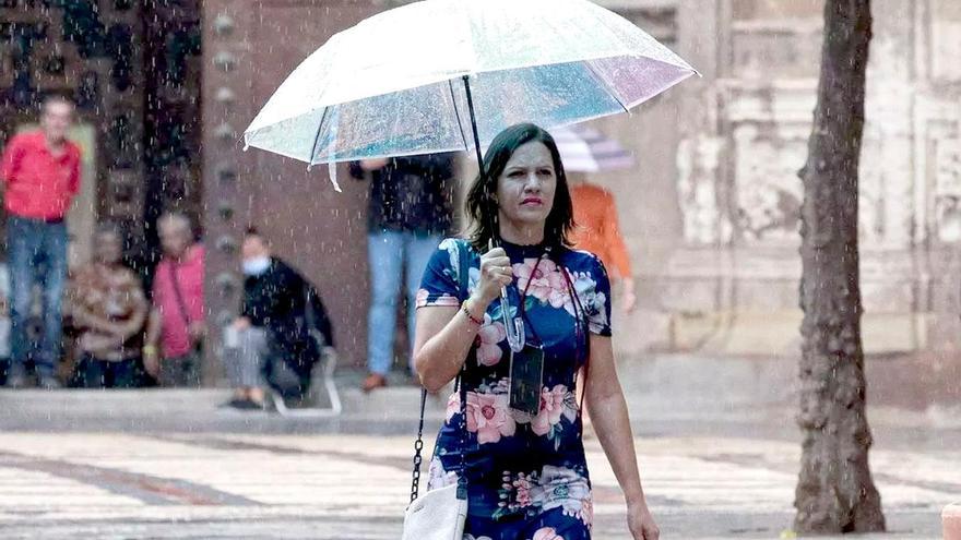 Una mujer con un paraguas se protege contra la lluvia. / EFE