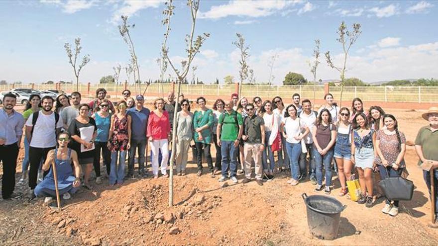 Un nou bosc ‘universitari’