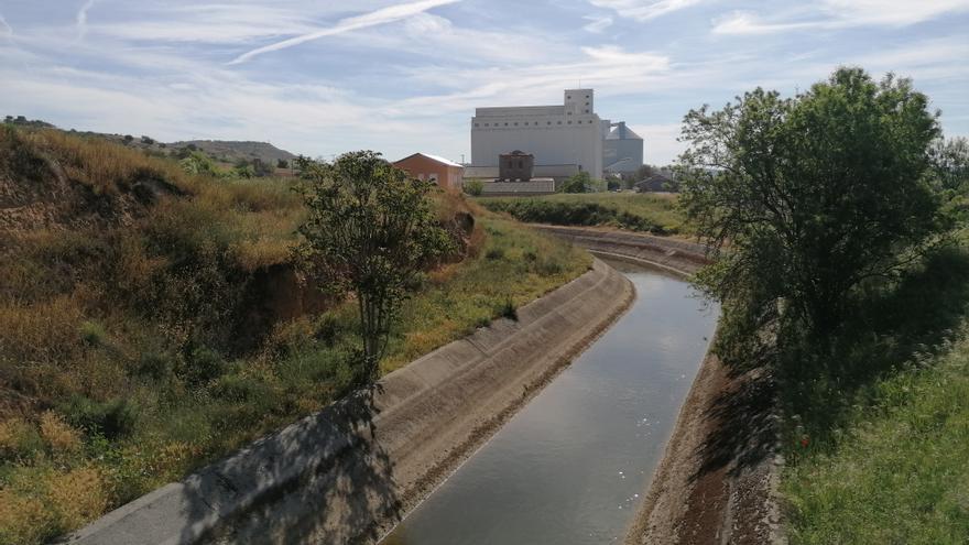 La reaparición de un briozoo amenaza el riego en el canal Toro-Zamora