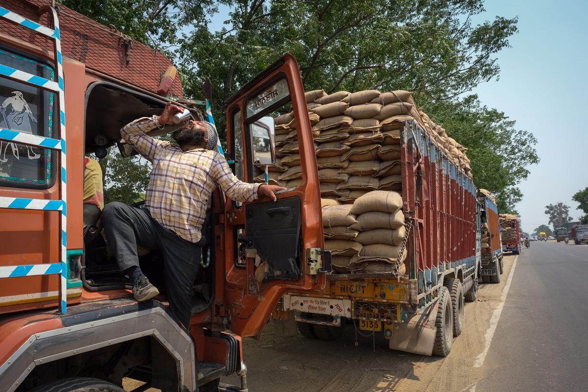 Un conductor de un camión de transporte de sacos de trigo hace un alto en el camino para beber agua, cerca del mercado de grano de Khanna, en el distrito indio de Punjab.