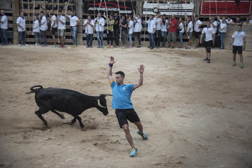 Corre de bou de diumenge a Cardona