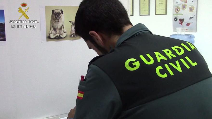 Investigan a un veterinario por maltrato animal y estafa