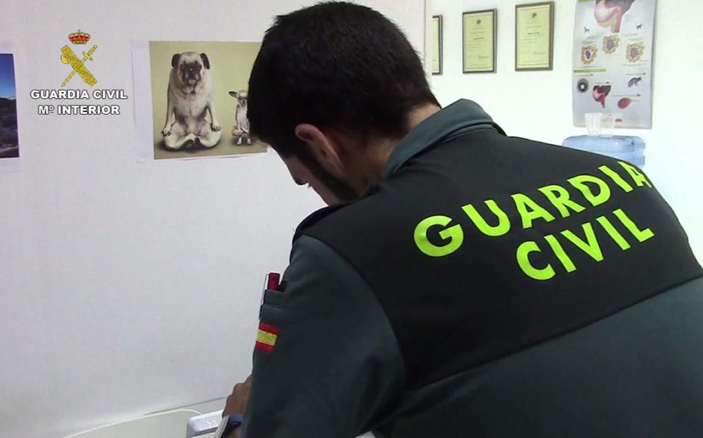 Investigan a un veterinario por maltrato animal y estafa en Palma