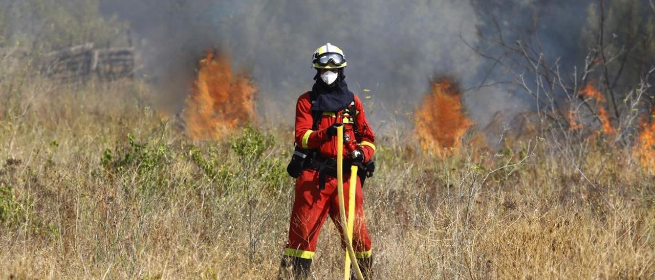 Un bombero en tareas de extinción en el reciente incendio de Ateca (Zaragoza).