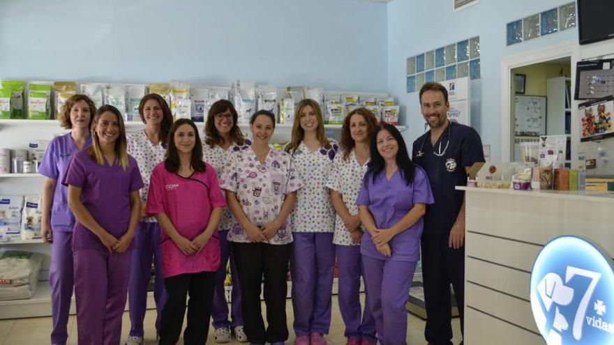 El equipo de la veterinaria alicantina 7 vidas