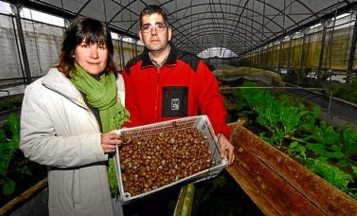 Sònia Figueras i Josep Fàbregas a la seva granja. Sònia Figueras i Josep Fàbregas a la seva granja.