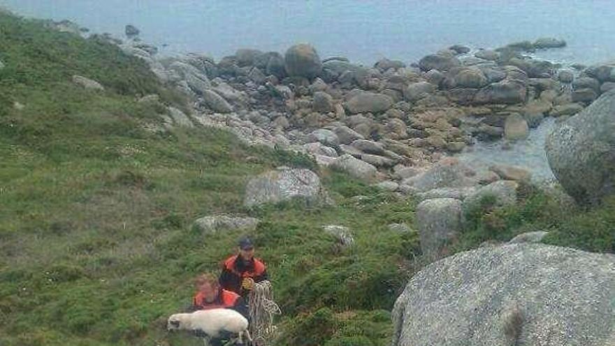 La preparación para extinguir incendios.  // Muñiz