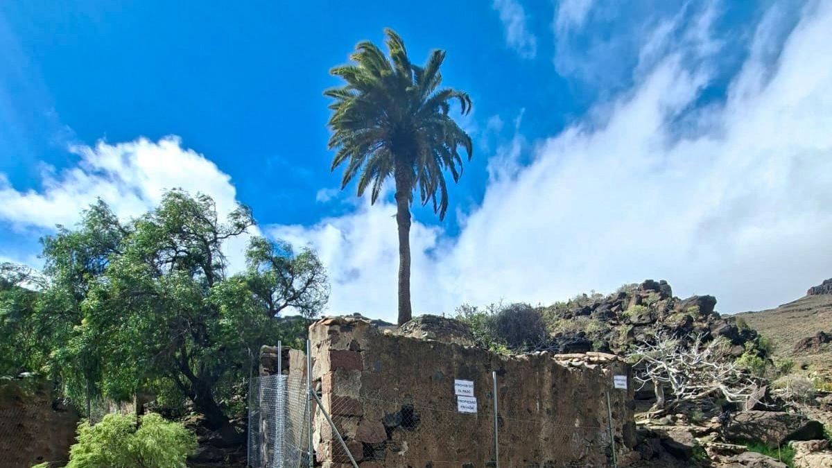 La Policía Canaria actúa en los Molinos de Samarín tras detectar robos y actos vandálicos