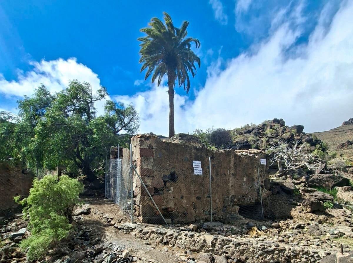La Policía Canaria actúa en los Molinos de Samarín tras detectar robos y actos vandálicos