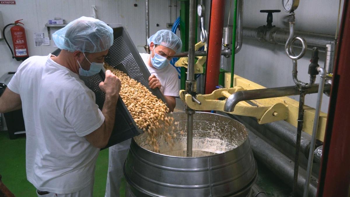 Así se elabora, paso a paso, el turrón de Alicante y el de Jijona en una fábrica de la provincia.