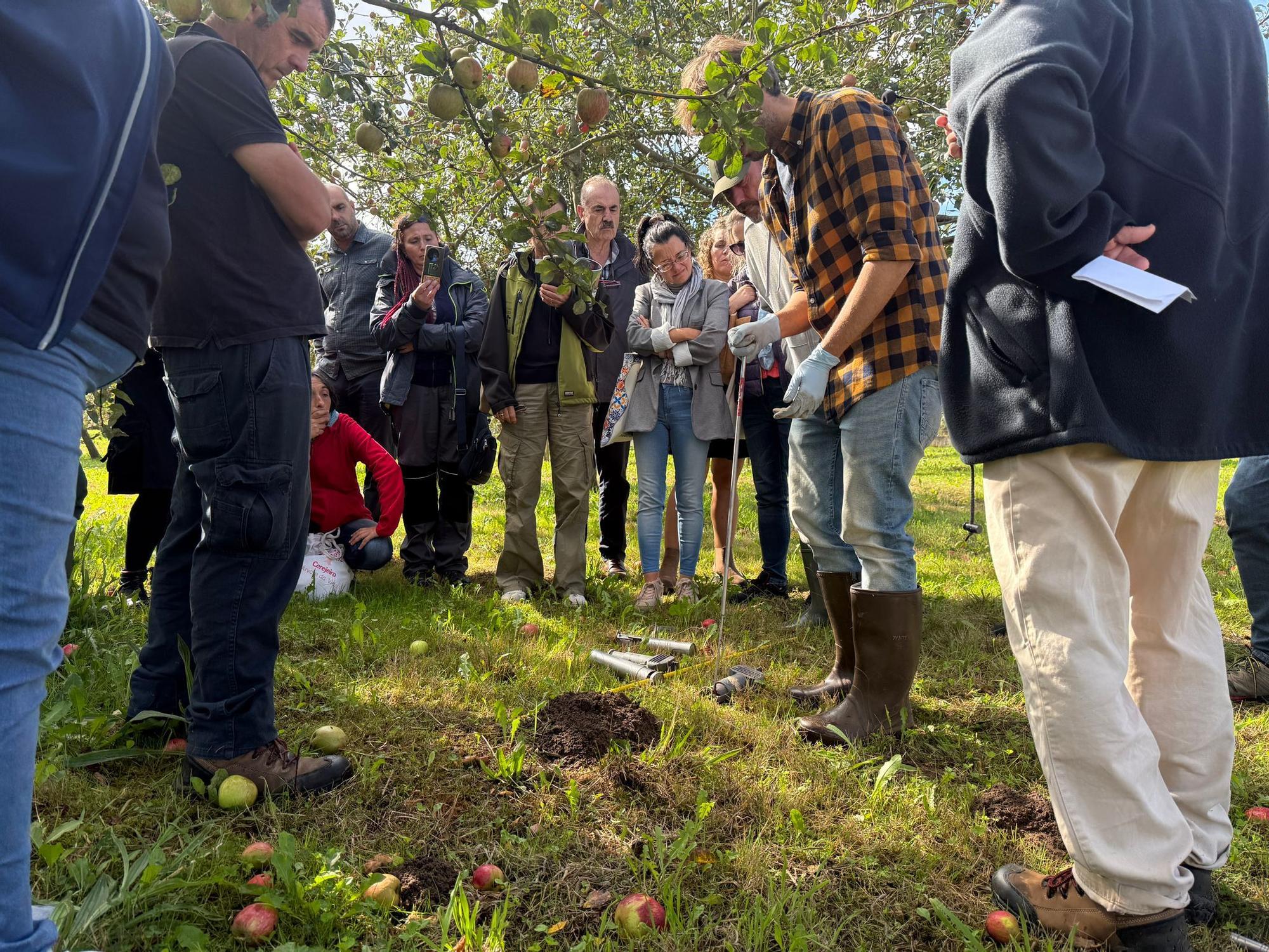 El SERIDA explica sobre el terreno las medidas de protección contra las plagas de roedores en pomaradas