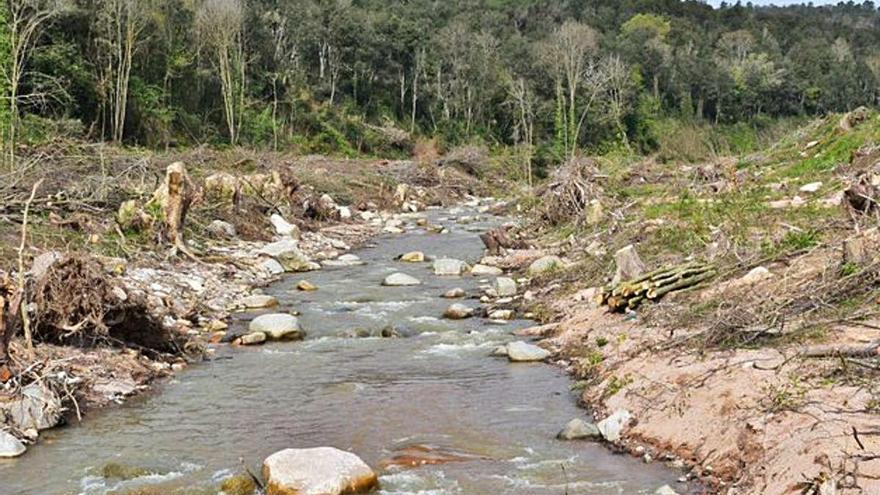 Una de les zones afectades per la tala del bosc de ribera, a la riera d&#039;Arbúcies.