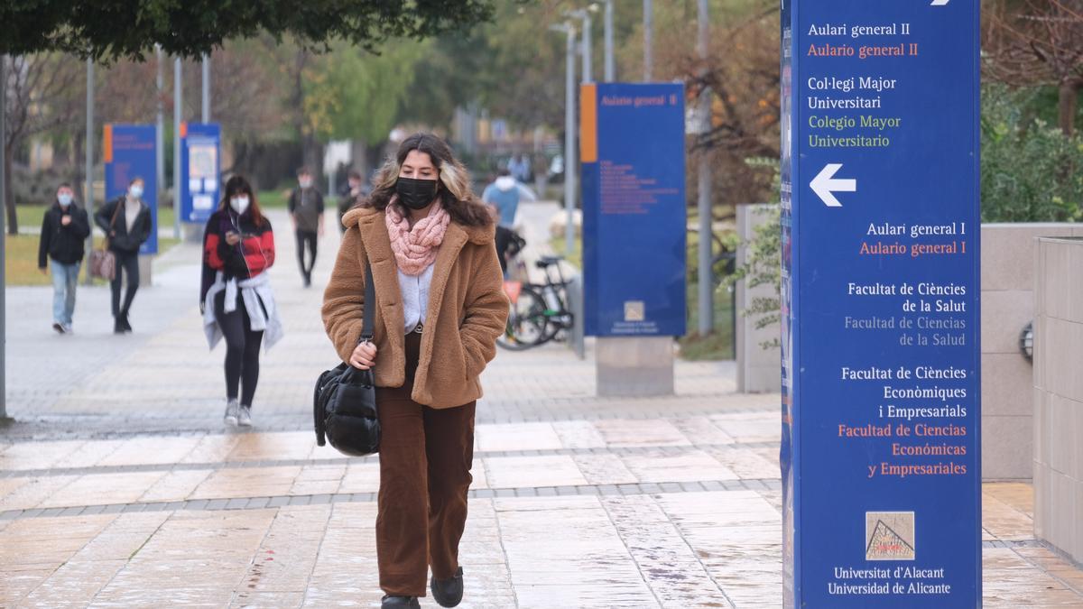 Estudiantes, en el campus de la Universidad de Alicante.