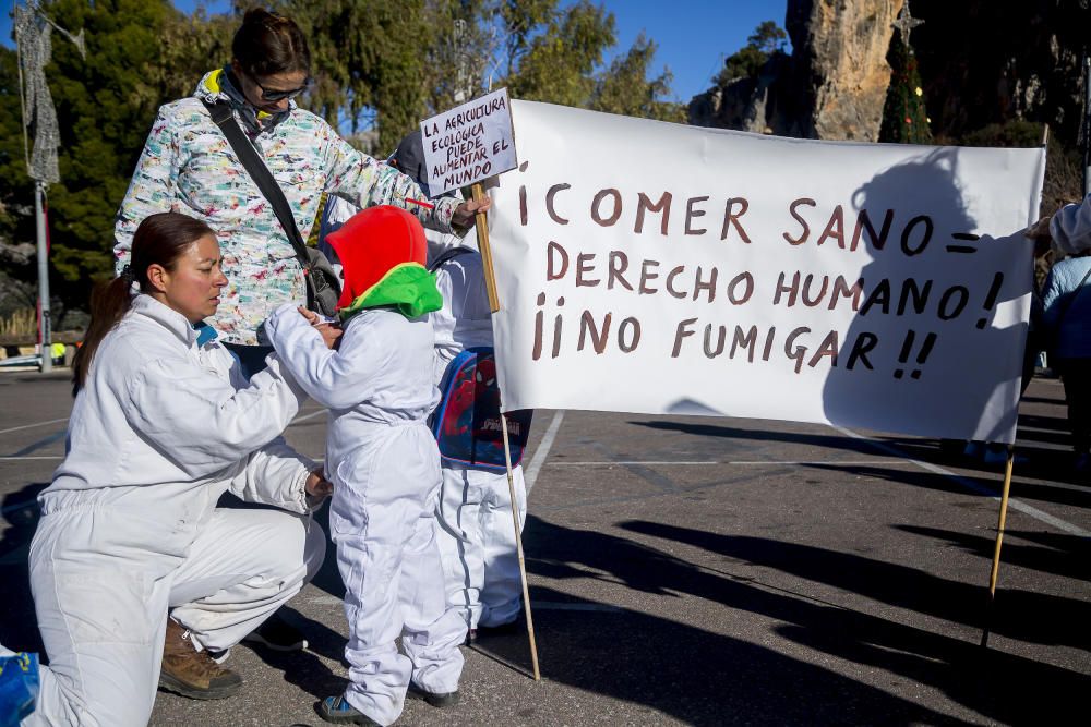 Agricultores de la provincia se manifiestan contra el plan de erradicación de la Xylella del Consell