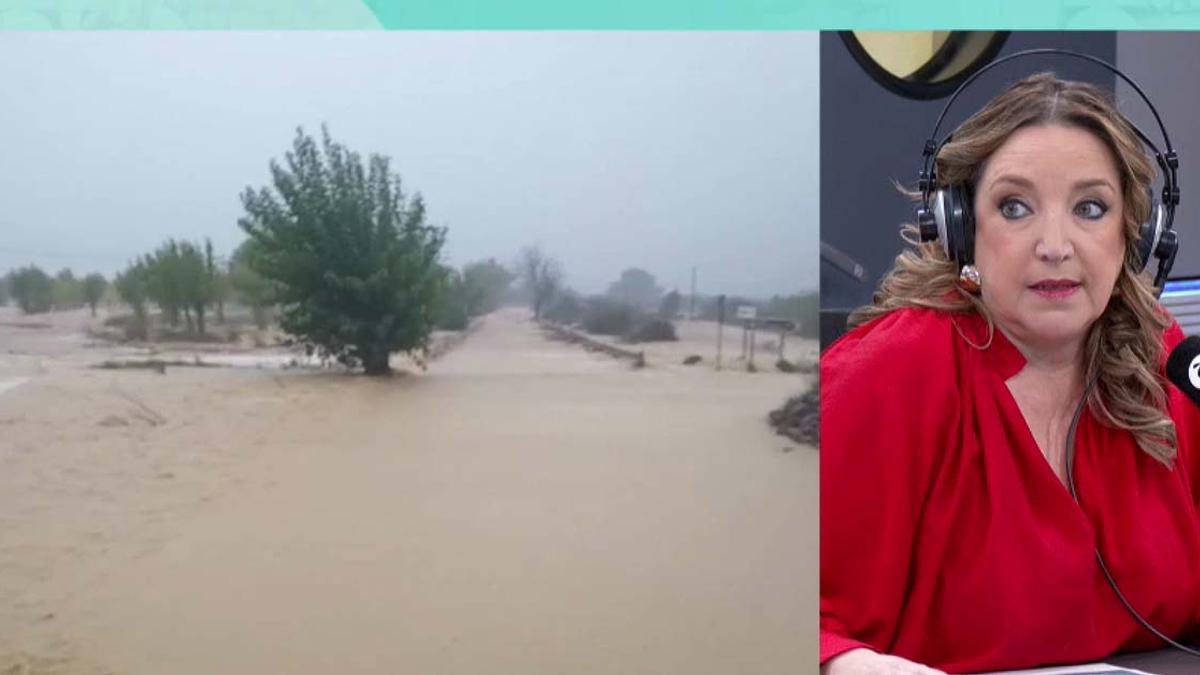 La meteoróloga de À Punt Victoria Roselló, que ha sido degradada de su puesto de trabajo por informar