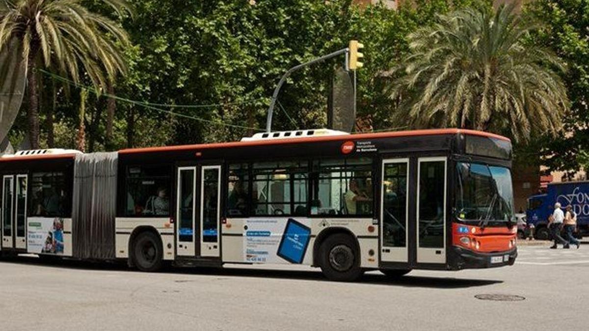 Un autobús de la línea 43.