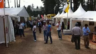 Tineo, tierra de iniciativa rural y empresarial