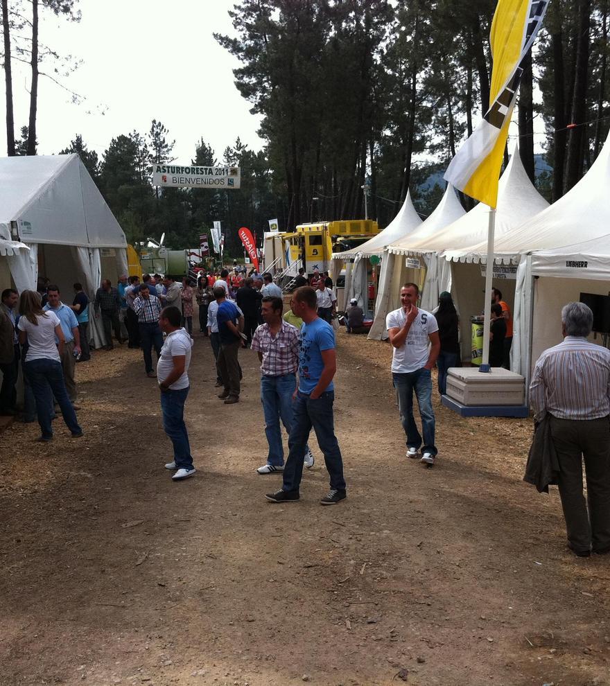 Tineo, tierra de iniciativa rural y empresarial