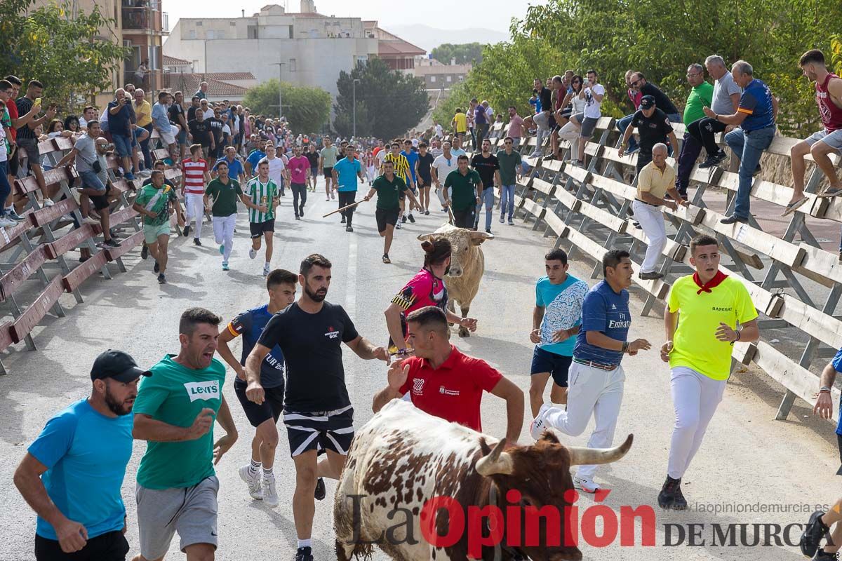 Segundo encierro de la Feria Taurina del Arroz en Calasparra