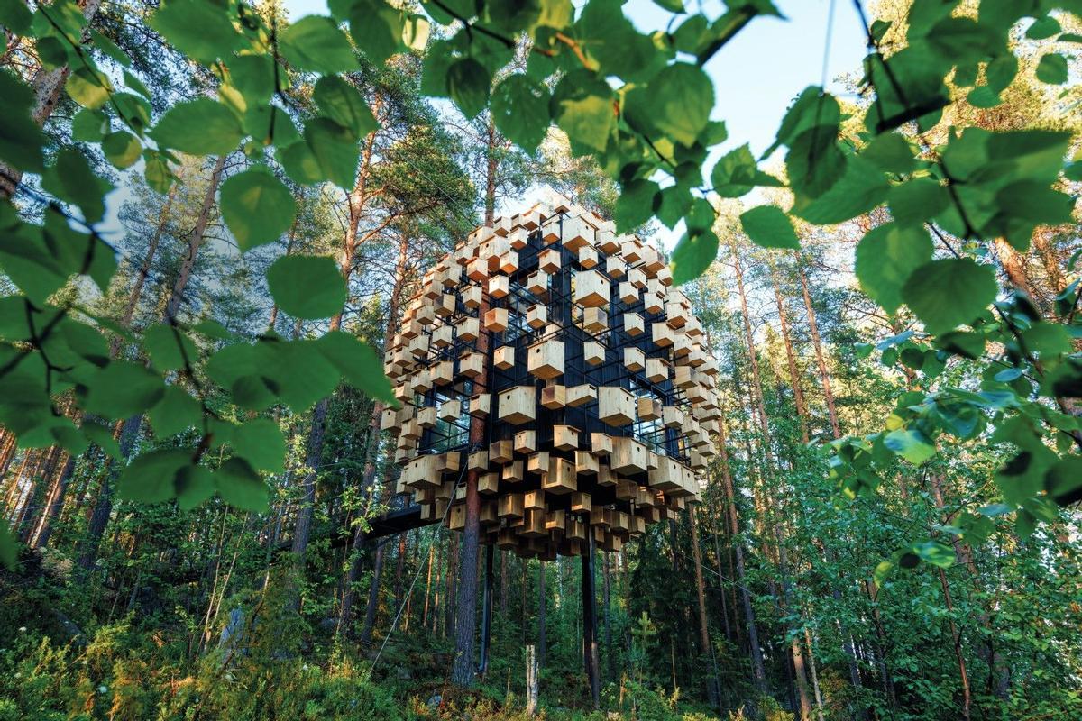 Noviembre 2023 - TreeHotel-biosphere, Suecia