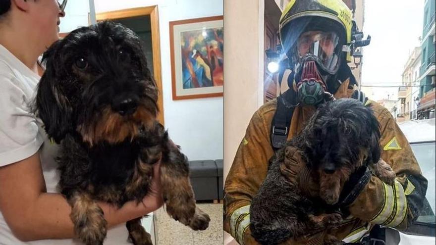 Incendio en Dénia: "Pasamos mucho miedo; había tres vecinos en la finca y podían haber muerto"