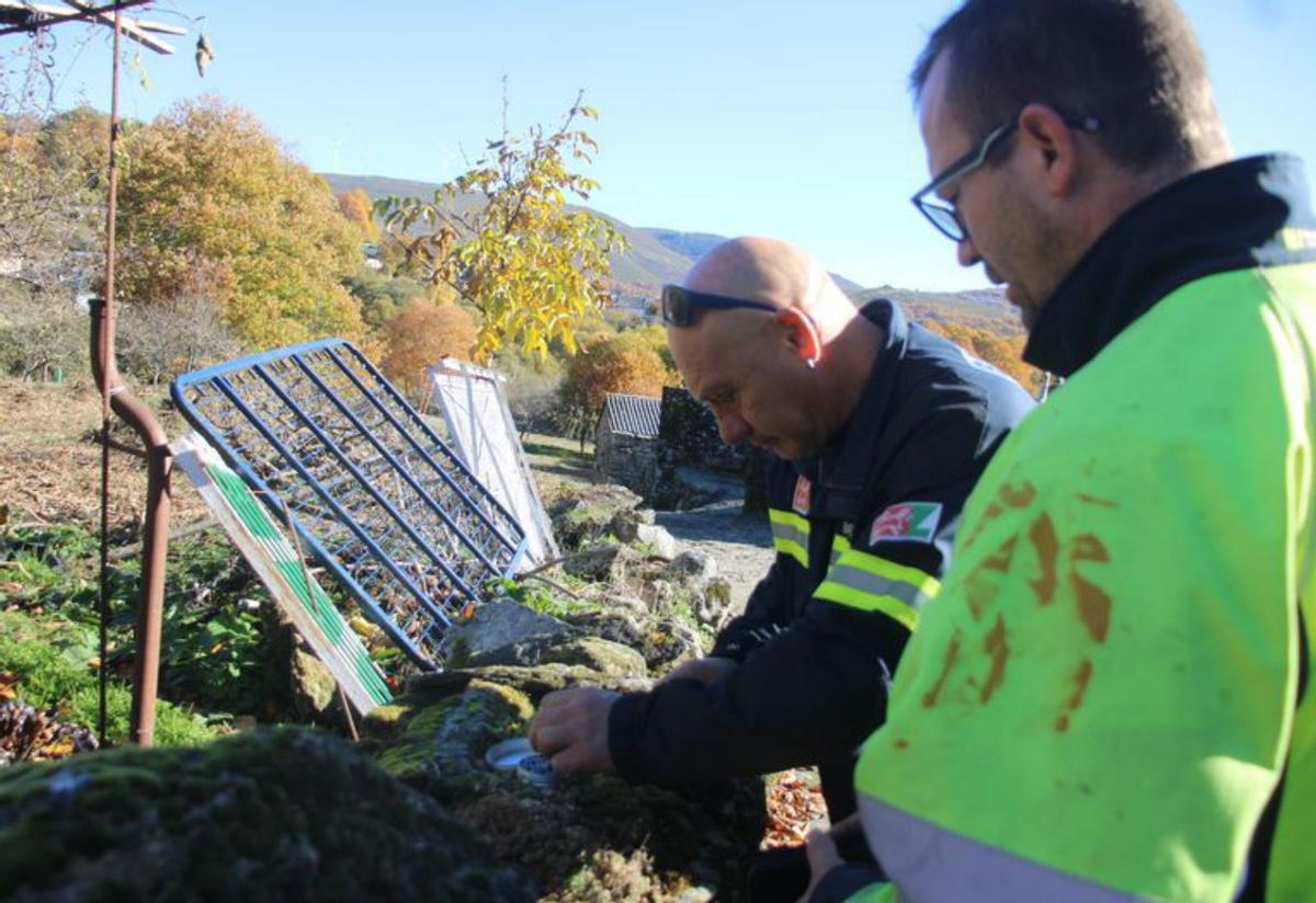 Intervención de los bomberos en distintos puntos de la comarca para la eliminación de nidos de avispa velutina que proliferan en la comarca de Sanabria.  | ARACELI SAAVEDRA