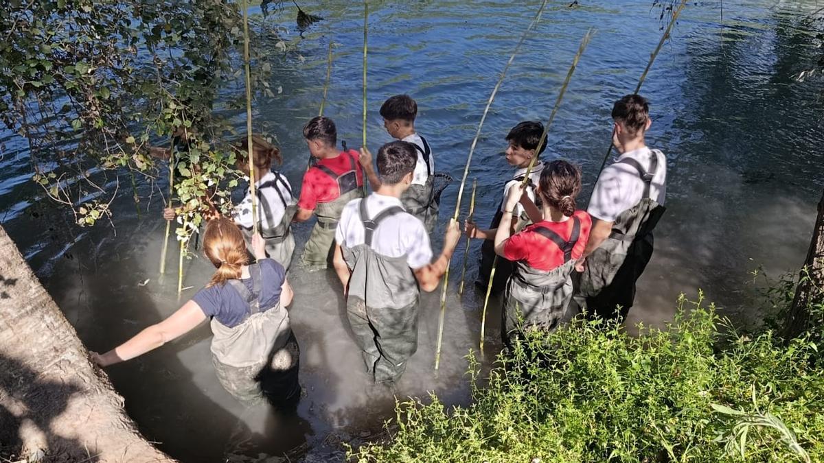 Un grupo de jóvenes se adentra en el río para participar en la campaña de control de población de tortuga.