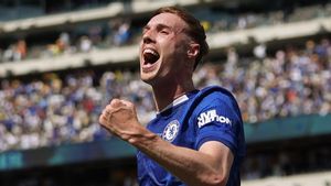 Palmer ante el PSG