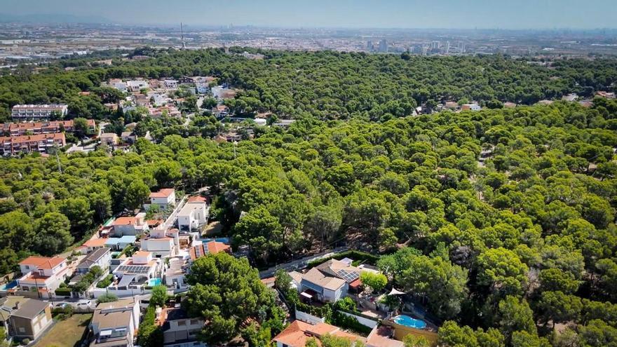 Torrent mejorará y renovará el alumbrado público en la Avenida al Vedat y Santa Apolonia por casi 300.000 euros