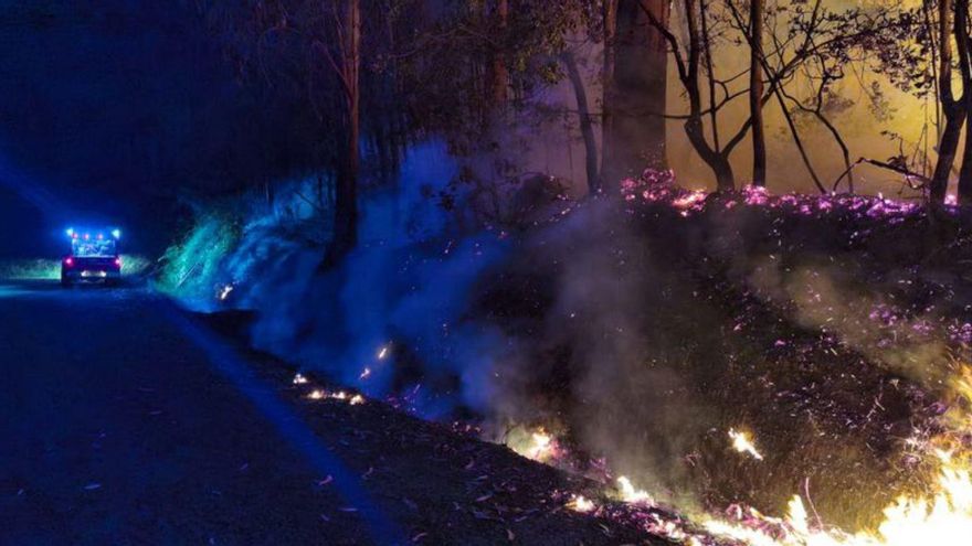 Las llamas afectaron a un área forestal de 500 m2. | // FDV