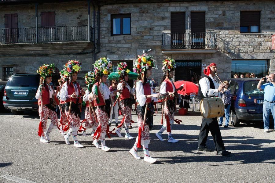 Día de la Provincia 2016 en Villardeciervos