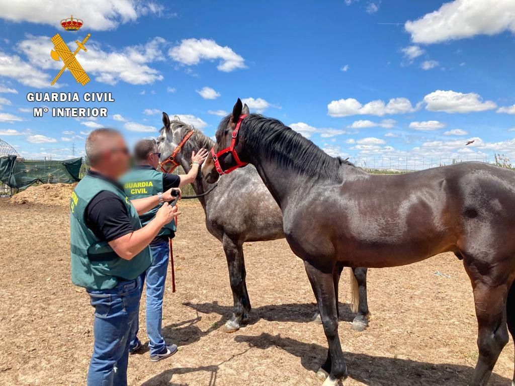 Los caballos junto a los agentes.