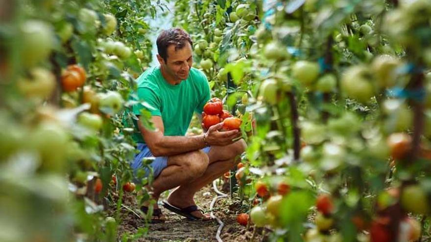 Esta tendencia apoya la agricultura local.