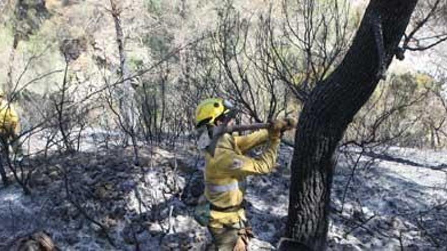 El incendio se podría dar hoy por extinguido si no hay imprevistos.