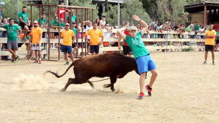 Un noi esquiva una vaqueta a Torroella.