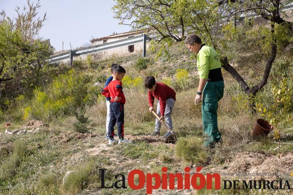 Reforestación en el paraje 'La Muralla' de Archive