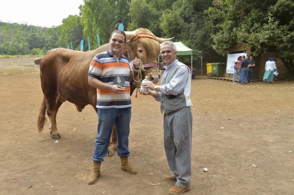 Feria de ganado