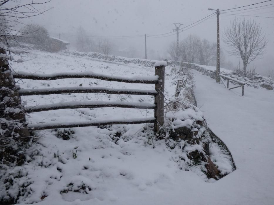 Primera nevada de la primavera o última del invierno en Genestoso, Cangas del Narcea