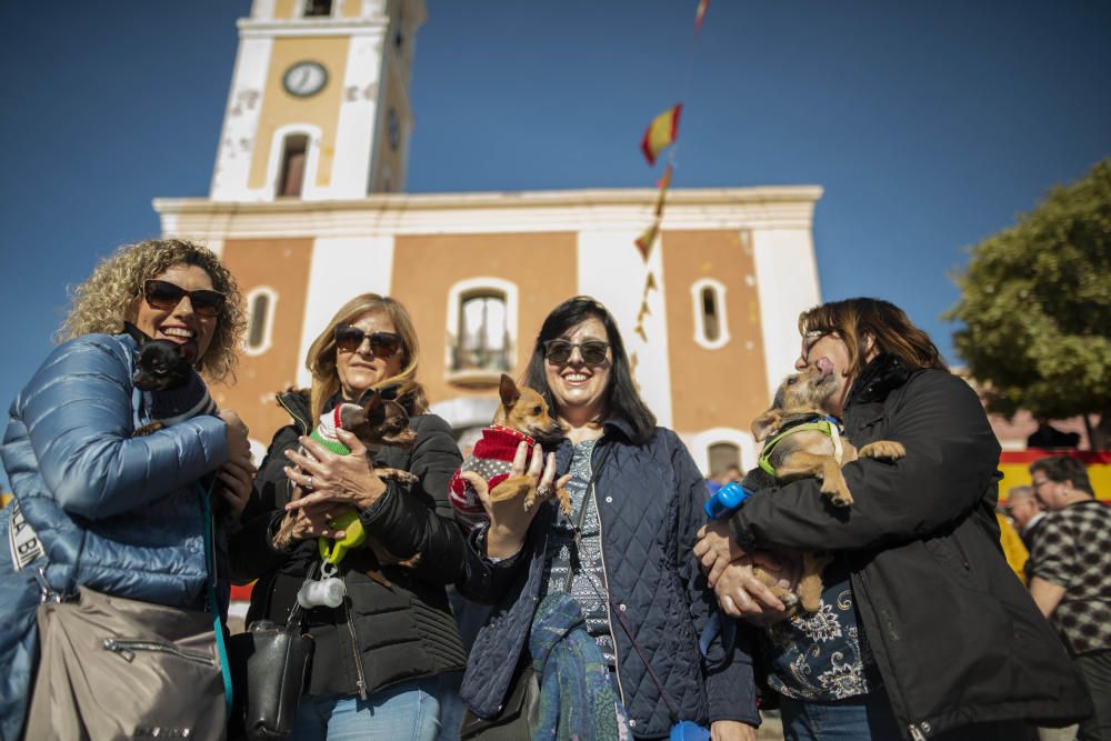 Cartagena celebra San Antón