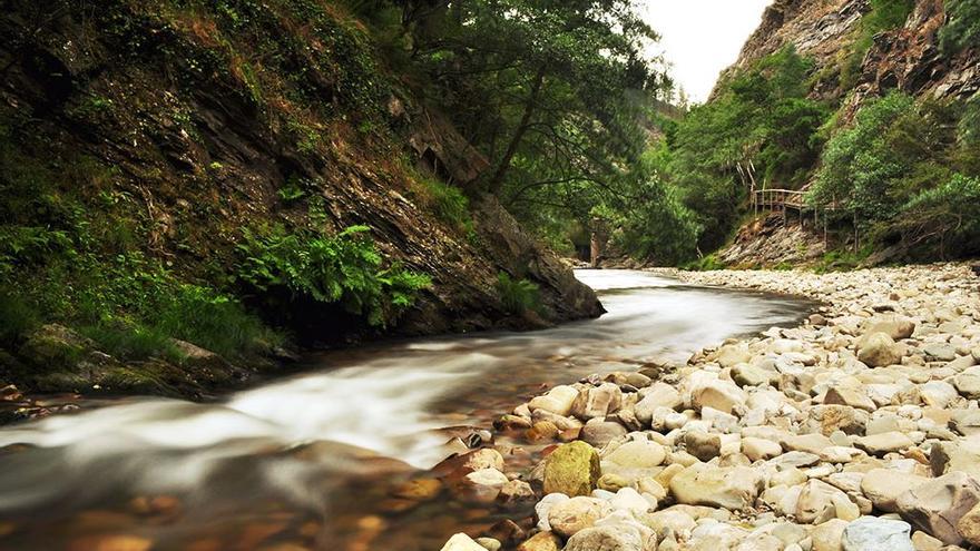 Ruta Hoces del Esva: adéntrate en el mejor bosque de ribera de toda la Península Ibérica