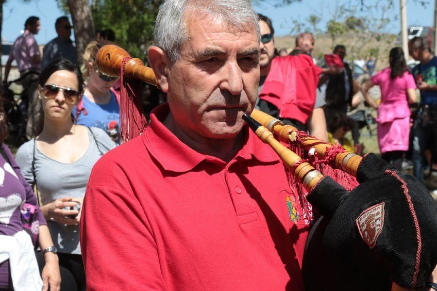 Romería de Valderrey en Zamora