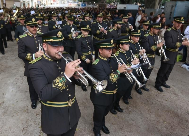 Domingo de Ramos de 2016 | Pollinica