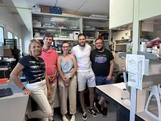 Investigadores andaluces identifican dos moléculas que controlan la regeneración celular del corazón