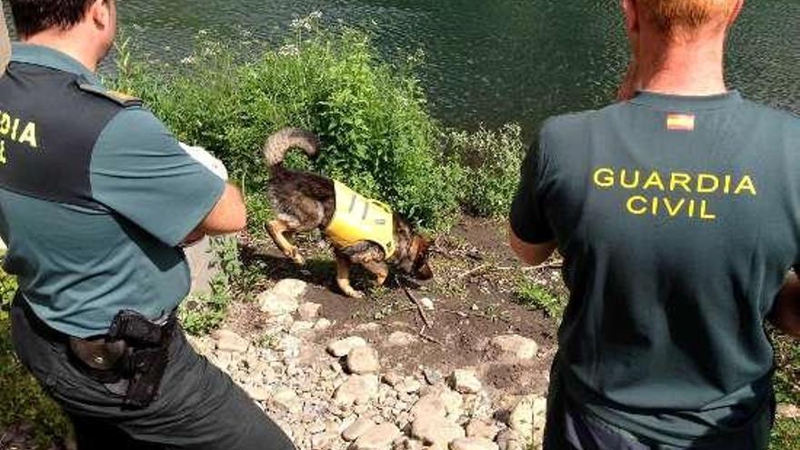 El perro adiestrado en búsquedas y dos agentes.