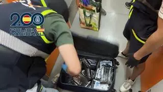 La Policía registra un inmueble en Dénia por una red que producía cocaína para organizaciones criminales