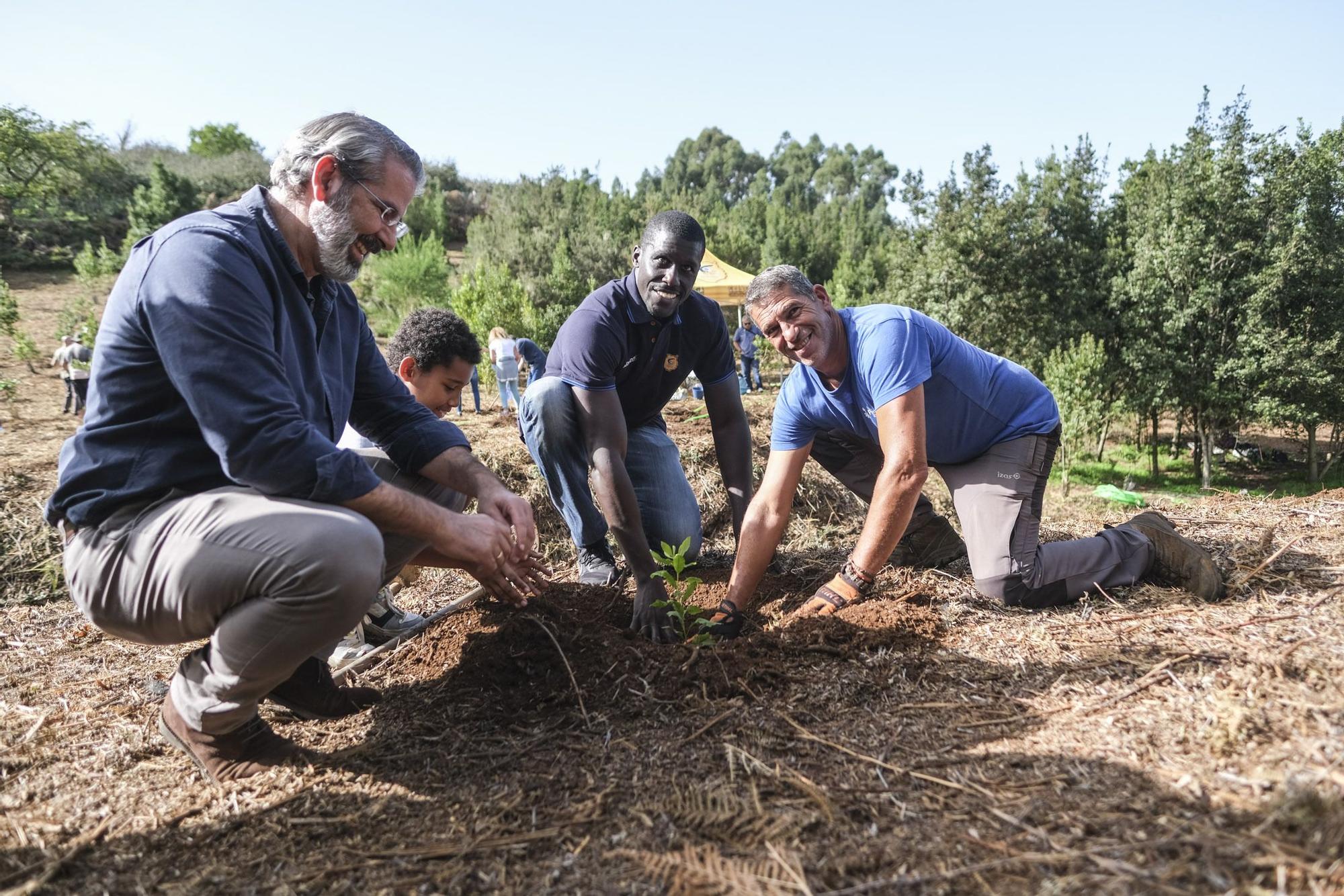 Reforestación 'Compromiso Granca'